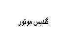 فروشگاه گلدیس موتور