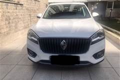 بورگوارد، BX7