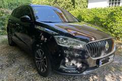 بورگوارد، BX7