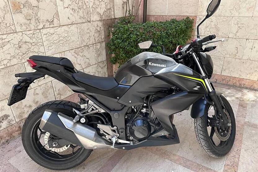 کاوازاکی، Z300