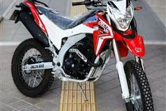 شاهین موتور، دلتا LX 250 ENDRO